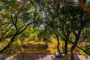 Image 13 - 244321